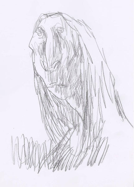Original Quentin Blake Drawing LP214/045