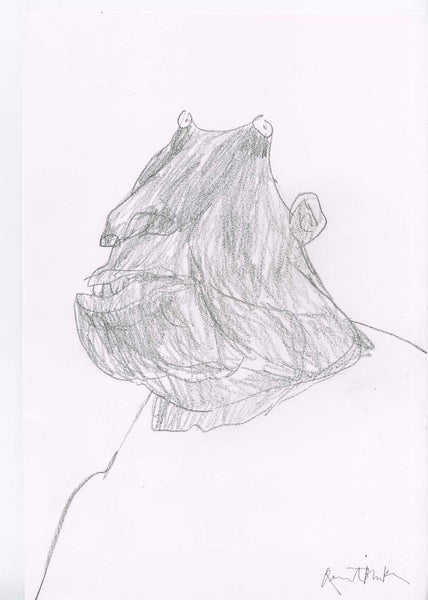 Original Quentin Blake Drawing SP245/013