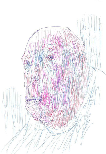 Birthday Biro and Bic SP252a_359